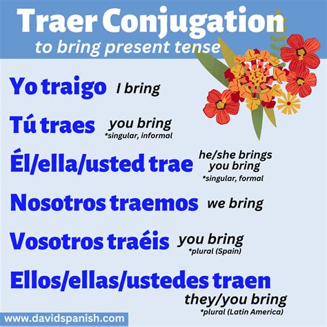 sondaicart|Sondado Conjugation .